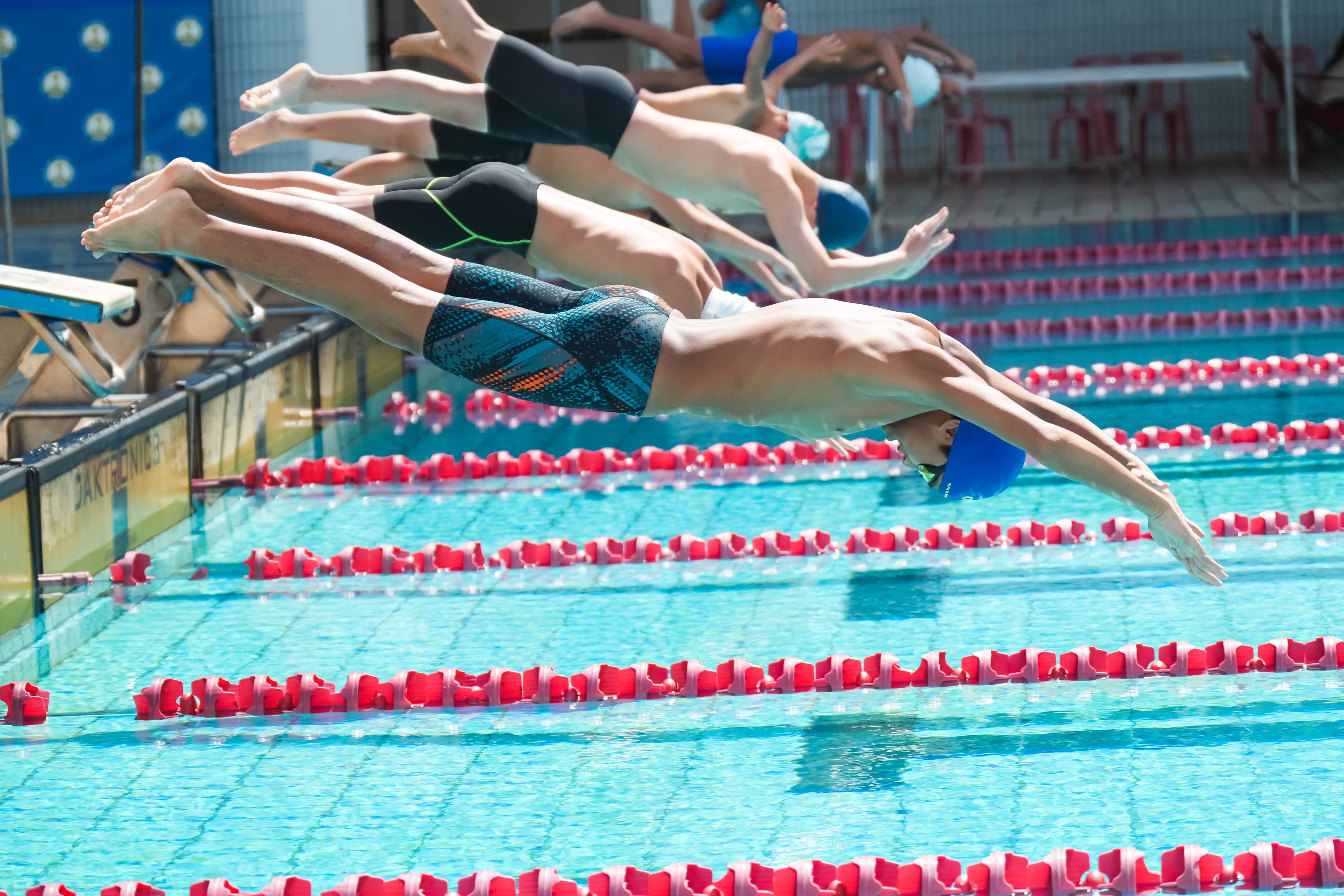 Multiple swimmers diving in parallel from starting blocks, mid-air over a competition pool with red lane ropes.
